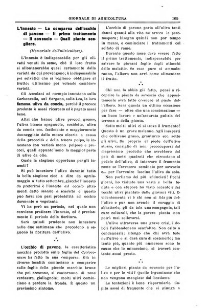 L' Italia agricola giornale di agricoltura