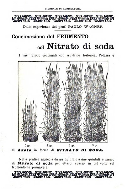 L' Italia agricola giornale di agricoltura