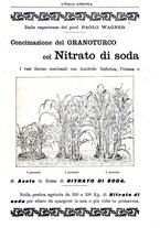 giornale/TO00210416/1901/unico/00000303