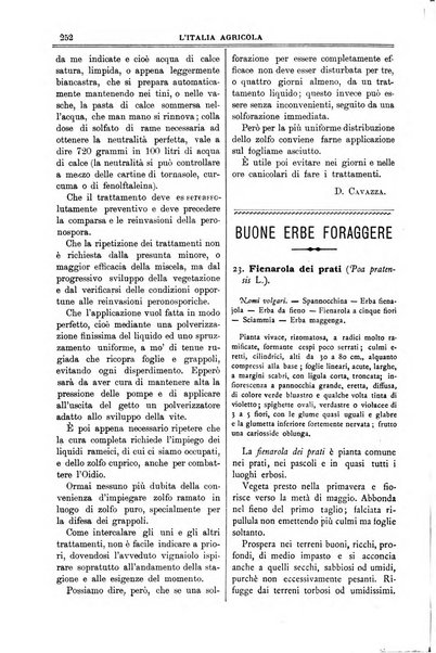 L' Italia agricola giornale di agricoltura