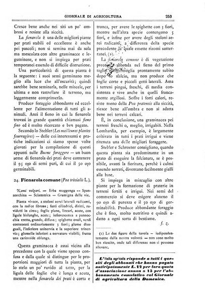 L' Italia agricola giornale di agricoltura