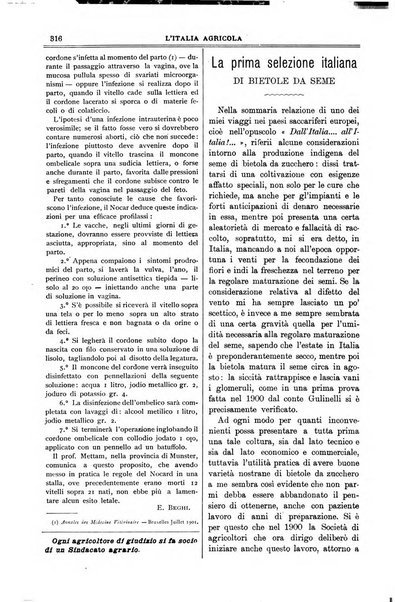 L' Italia agricola giornale di agricoltura