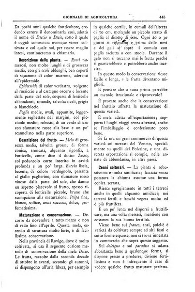 L' Italia agricola giornale di agricoltura