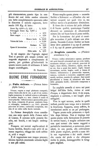 L' Italia agricola giornale di agricoltura