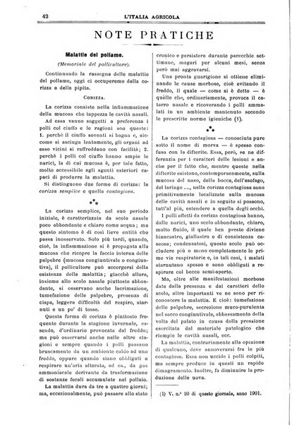 L' Italia agricola giornale di agricoltura