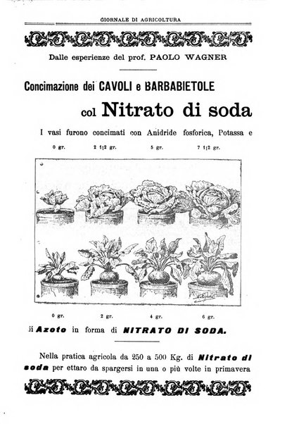 L' Italia agricola giornale di agricoltura