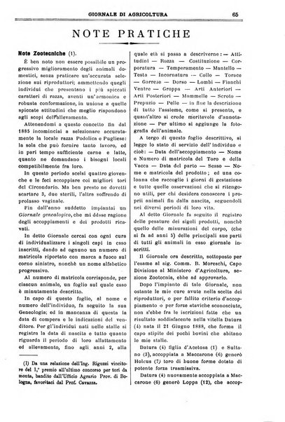 L' Italia agricola giornale di agricoltura