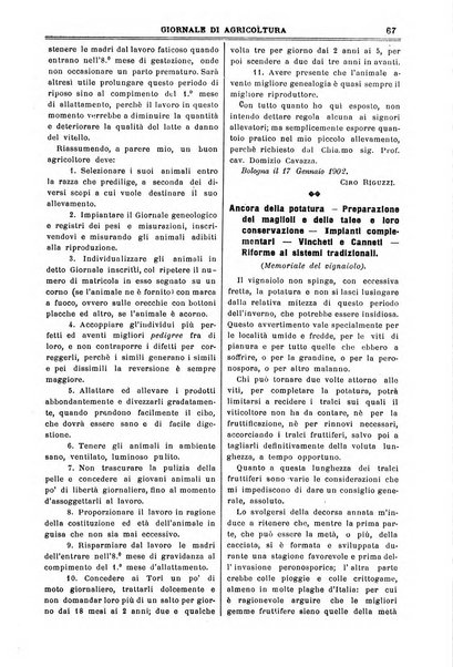 L' Italia agricola giornale di agricoltura