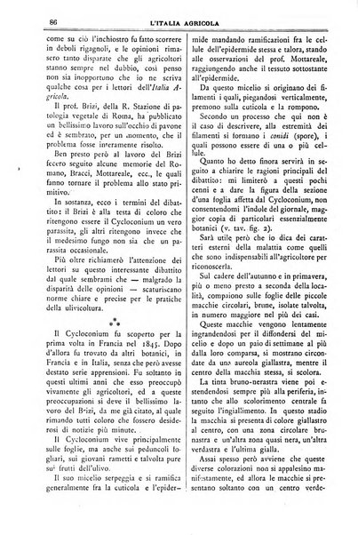 L' Italia agricola giornale di agricoltura