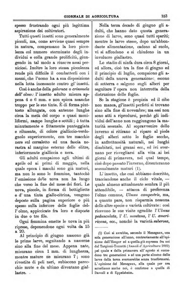 L' Italia agricola giornale di agricoltura