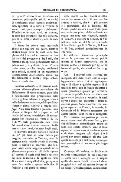 L' Italia agricola giornale di agricoltura