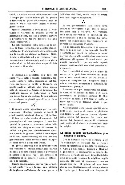 L' Italia agricola giornale di agricoltura