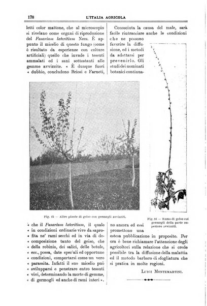 L' Italia agricola giornale di agricoltura