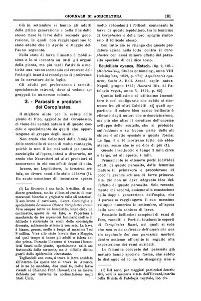 L' Italia agricola giornale di agricoltura