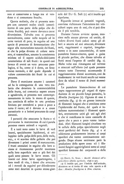 L' Italia agricola giornale di agricoltura