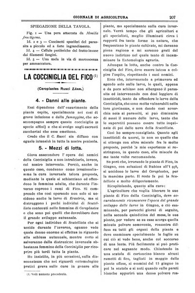 L' Italia agricola giornale di agricoltura