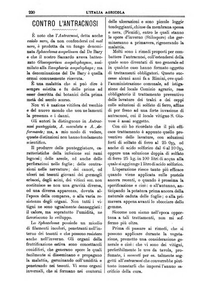 L' Italia agricola giornale di agricoltura