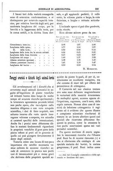 L' Italia agricola giornale di agricoltura