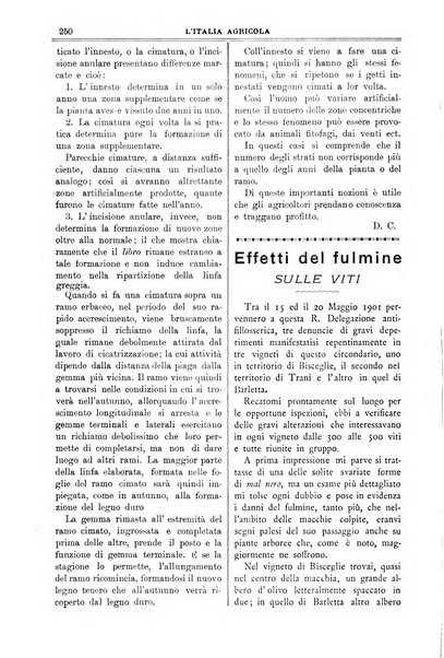 L' Italia agricola giornale di agricoltura