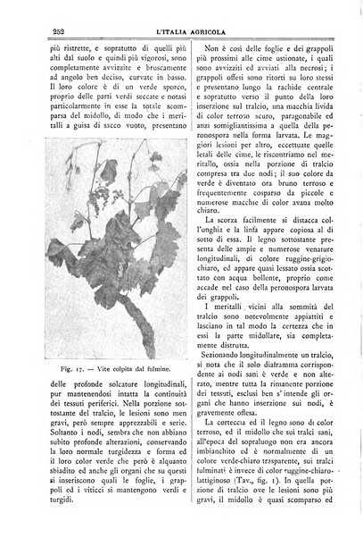 L' Italia agricola giornale di agricoltura