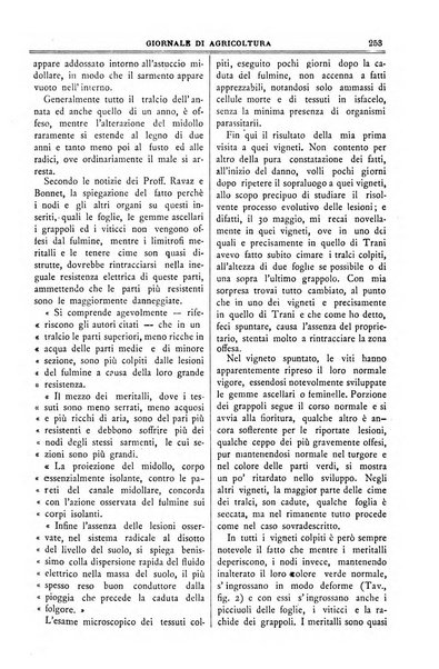 L' Italia agricola giornale di agricoltura