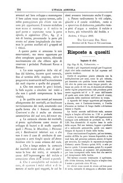 L' Italia agricola giornale di agricoltura