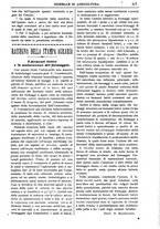 giornale/TO00210416/1902/unico/00000413