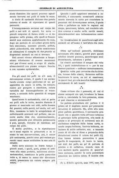 L' Italia agricola giornale di agricoltura