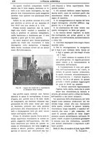 giornale/TO00210416/1902/unico/00000536