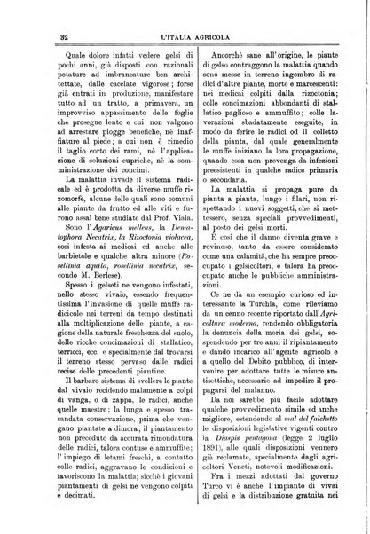 L' Italia agricola giornale di agricoltura