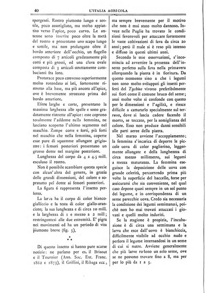 L' Italia agricola giornale di agricoltura