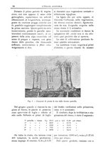 giornale/TO00210416/1903/unico/00000108