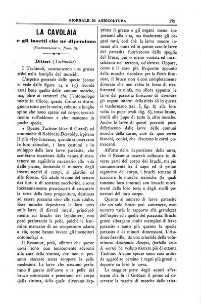 L' Italia agricola giornale di agricoltura