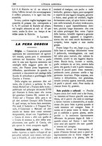 giornale/TO00210416/1903/unico/00000498