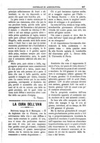 giornale/TO00210416/1903/unico/00000501