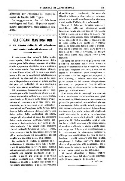 L' Italia agricola giornale di agricoltura