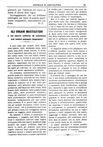 giornale/TO00210416/1904/unico/00000045