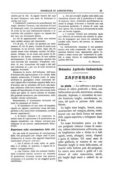 L' Italia agricola giornale di agricoltura