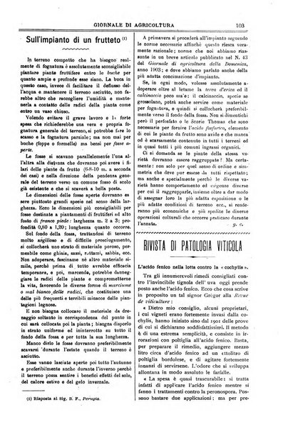 L' Italia agricola giornale di agricoltura