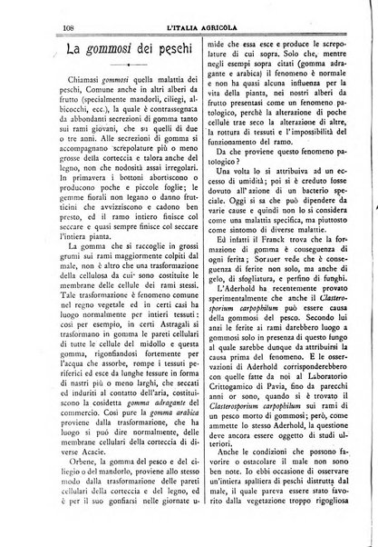 L' Italia agricola giornale di agricoltura