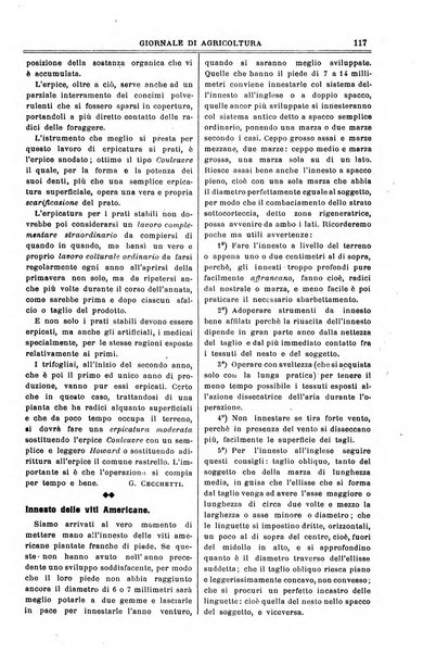 L' Italia agricola giornale di agricoltura