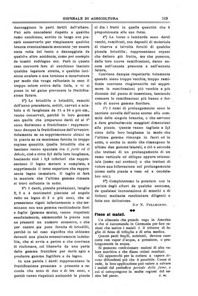 L' Italia agricola giornale di agricoltura