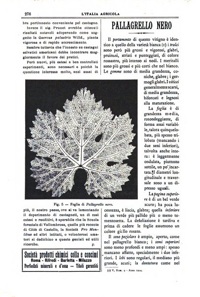 L' Italia agricola giornale di agricoltura