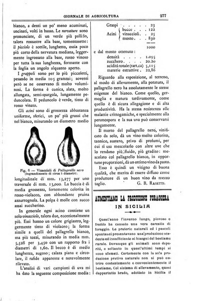 L' Italia agricola giornale di agricoltura