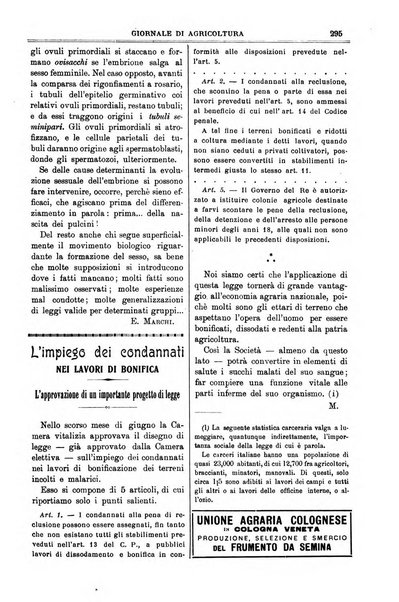 L' Italia agricola giornale di agricoltura