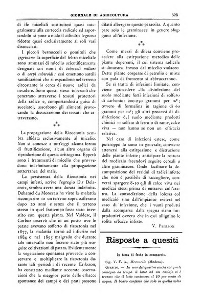 L' Italia agricola giornale di agricoltura