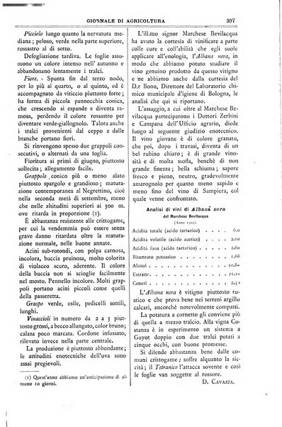 L' Italia agricola giornale di agricoltura