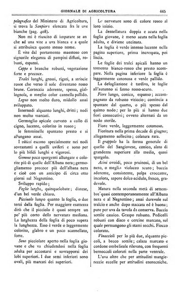 L' Italia agricola giornale di agricoltura