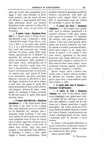 L' Italia agricola giornale di agricoltura