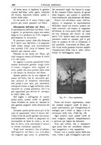 giornale/TO00210416/1904/unico/00000704